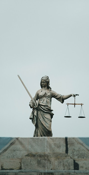 Expert Litigation Attorney